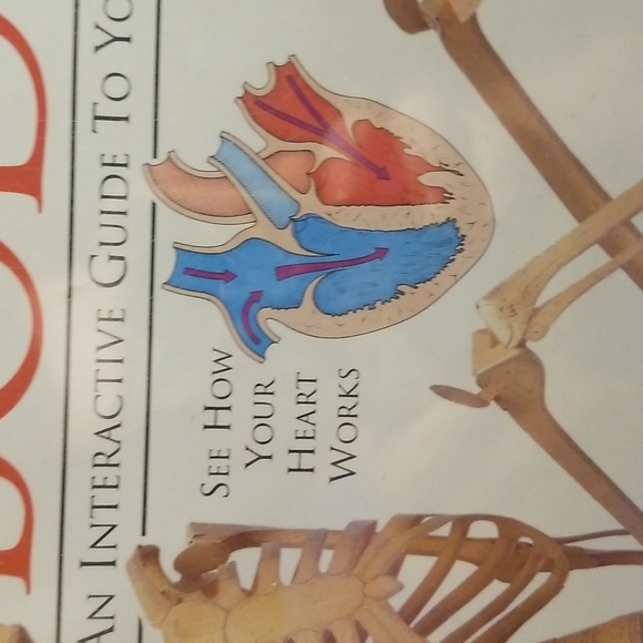 Action Pack Make Your Own Skeleton and More - Picture 4 of 7